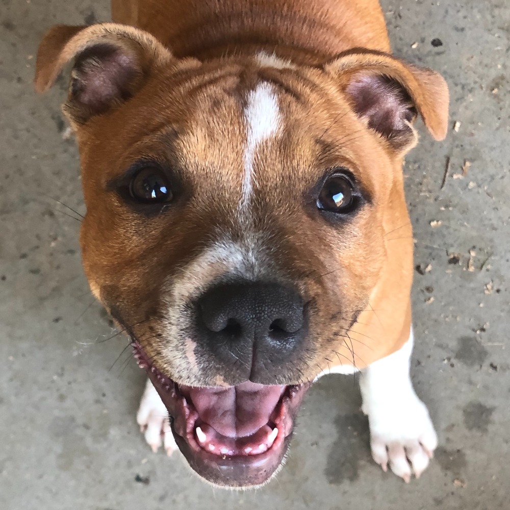 Meet your Posher, Chris